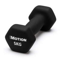 HANTEL HANTELKI OBCIĄŻNIKI DO ĆWICZEŃ MIĘŚNI FITNESS 5KG